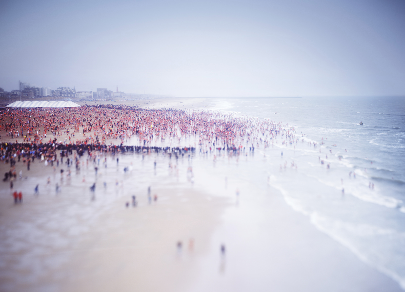 Scheveningen New Years Dip